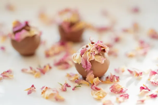 Otto Kasino Android/iOS programa